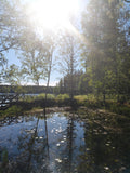 Light clashing with the lake